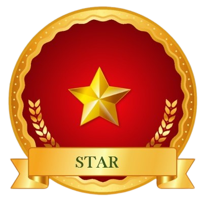 Star Level Logo